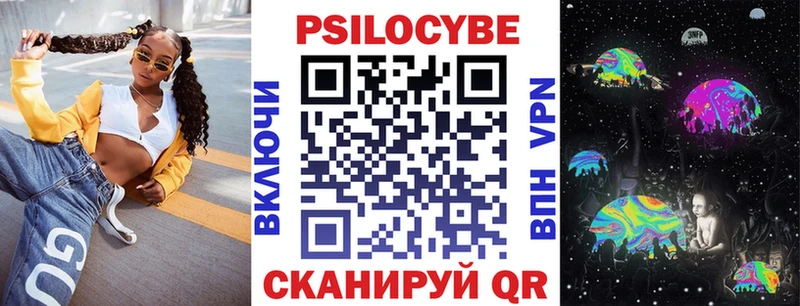 Псилоцибиновые грибы Psilocybine cubensis  купить  сайты  Шлиссельбург 
